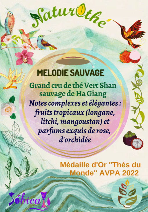 Mélodie Sauvage